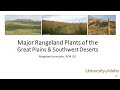 Great Plains and Southwestern Deserts Plants