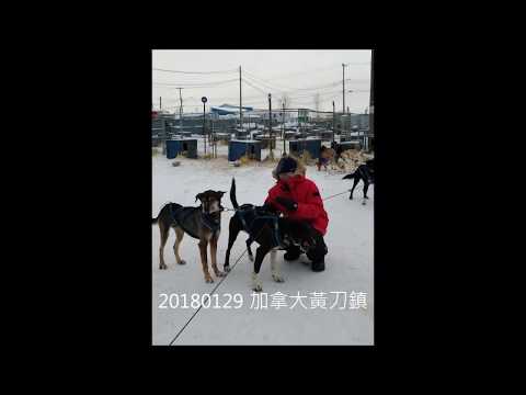 狗拉雪橇 - YouTube(1分09秒)