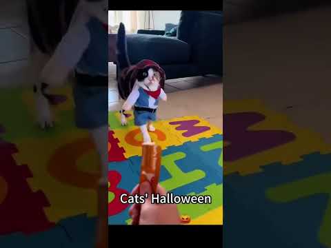 Happy Halloween!!! 🎃 #trending #funny #youtubeshorts