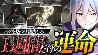 【 デバックデットライン / ホラー 】バグがあるのが当たり前なのでアンチがわかない最強のホラゲー【 メガヤミィ / Vtuber 】