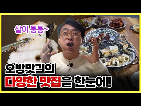 오방맛길의 다양한 맛집을 한눈에! 맛도 좋고 몸에도 좋은 장어부터 쫄깃쫄깃 맛있는 육회와 신선한 참치와 대창까지~