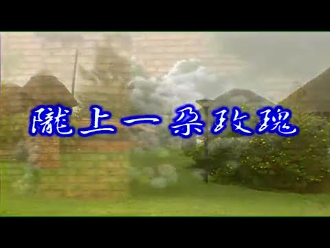 隴上一朵玫瑰-吳鶯音-伴奏 KARAOKE