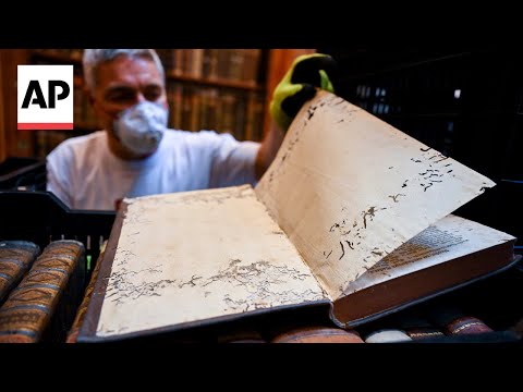 YouTube video thumbnail: Beetle Infestation in hot Temperatures Threaten Medieval Texts in Hungary