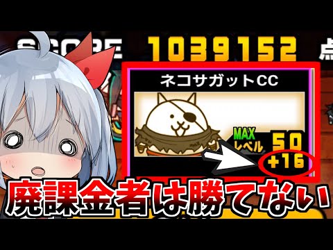 初心者から廃課金者まで楽しめるにゃんこ大戦争ランキング解説 サムネイル