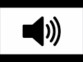 Understanding the Transcript
