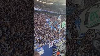 FC Schalke lalala | Schalke - Regensburg