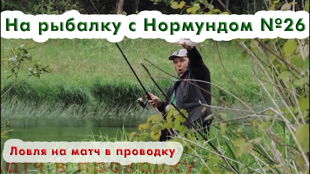 Ловля на матч в проводку: На рыбалку с Нормундом #26