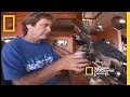 The Peregrine Falcon: Nature's Speedster