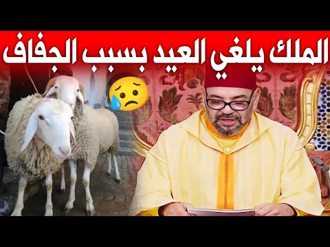 عاجل: ملك المغرب يعلن بشكل رسمي عدم إقامة عيد الأضحى بسبب الجفاف في المغرب