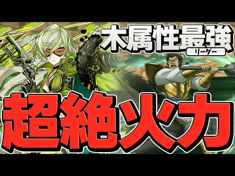 木属性の強リーダー誕生！リズレット×蒙武ループで百式攻略！パズドラ革命！【パズドラ】