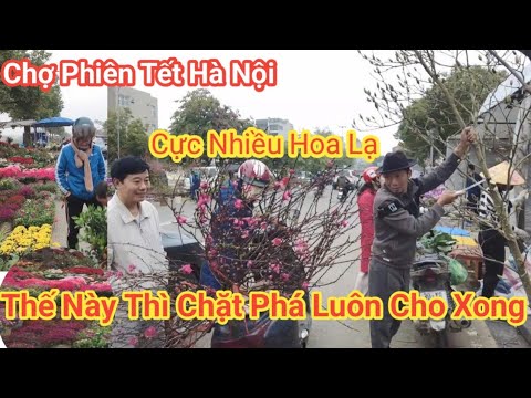 Chợ Phiên tết Hà Nội 2026 -Phá Hoa để bán, khách thấy vậy chốt nhanh luôn