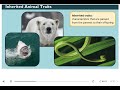 Exploring Animal Traits: Inherited vs. Acquired