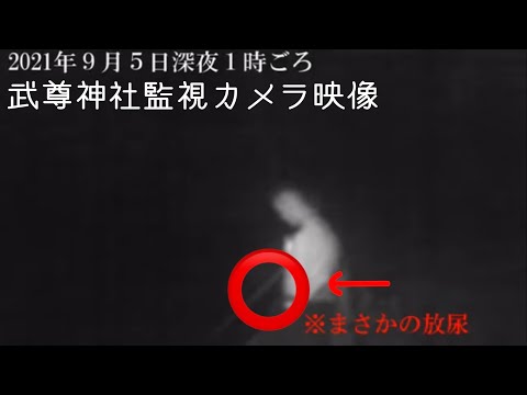 武尊神社は管理されています【監視カメラ映像】