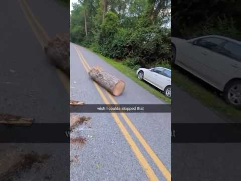 The log just kept on going!😱😂 #carcrashes #treedoctor #fypシ゚viral #viralshort #insane #wow #fyp
