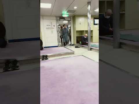 Bố ơi ,mình đi đâu thế