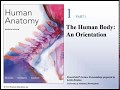 Anatomy and Medical Imaging Concepts