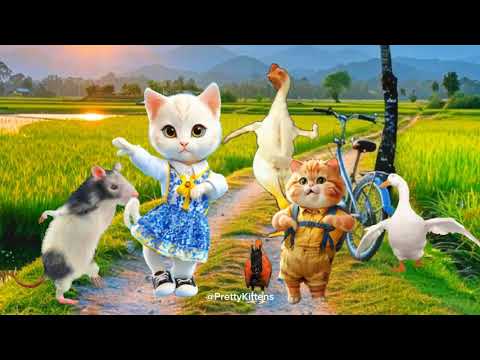 Cute Cat videos funny dance video for cats(3)🐈🥰 #viralvideos #funnycats #dancevideo