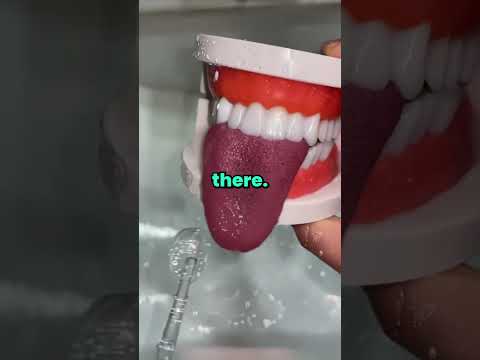 How did your pets disappear every time you left them alone with your sibling? ๐ค #shorts