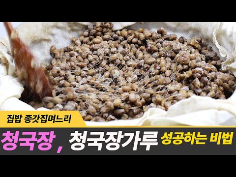 청국장 만들기 실패없이 청국장 가루 만드는 비법