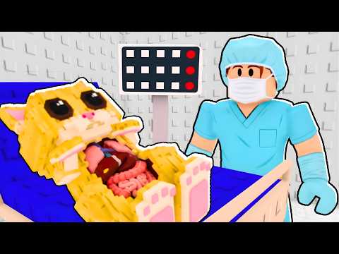 Mi Gatito Needs Surgery In Steal A Brainrot!