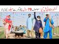 Brother  Ramzi,Noori, Bilo,Shoki, Sanam,Jannat,Falak Sher,Funny Video  Rachnavi Tv