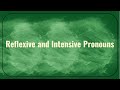 Intensive and Reflexive Pronouns