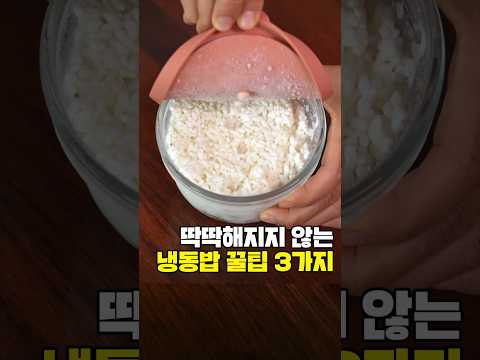 갓지은 밥처럼 만드는 냉동보관법, 해동 꿀팁까지 #냉동밥 #10년차