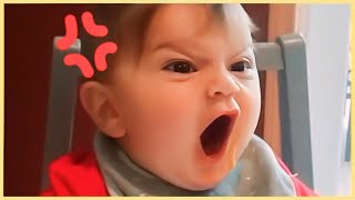 WATCH OUT!! Angriest Baby In The Planet 😡 || 5-Minute Fails