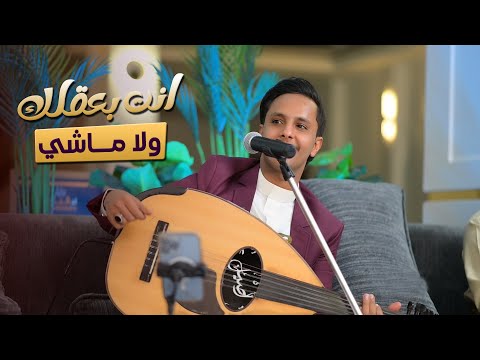 انت بعقلك ولا ماشي ؟  اصيل ابو بكر 2025  │ اغاني يمنيه جديده FULL HD