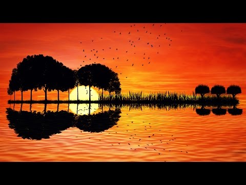 Relaxing Guitar Music - Acoustic - Calming Music for Stress Relief, Studying