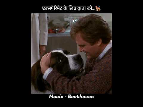 कुत्ते के साथ किया धोखा 😲 #bhoot #dog #cartoon
