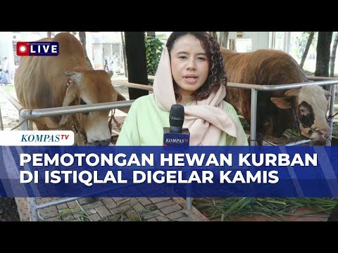 Terbaru! Suasana Usai Salat Id di Masjid Istiqlal, Pemotongan Hewan Kurban Dilaksanakan Kamis