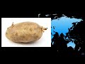 Impact of European Colonization