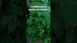 Spustili jsme alarm v opuštěném důchoďáku! Málem nás chytl security… #urbanexploration #urbexcz