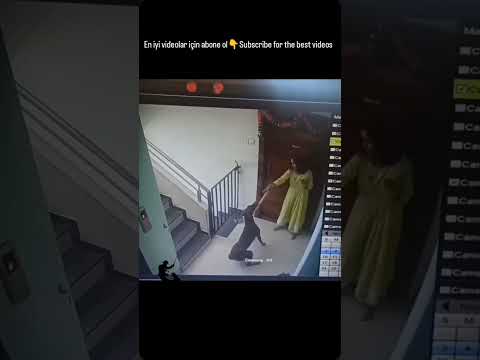 HOUSEKEEPER VS DOG #youtubeshorts #shortvideo #shortsvideo #short #shortvideos #subscribe #video