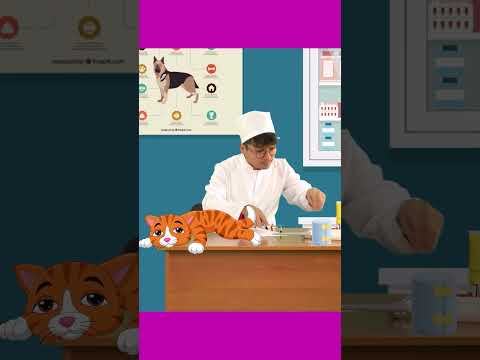 Chequeo médico | Doctor animal | Hokie Pokie Canciones Infantiles| #1 #shortssong