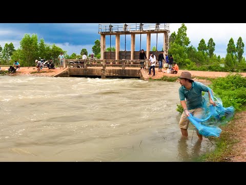 Free Life!!! Cast Net Fishing Under A Dam At The Countryside (Part 10)