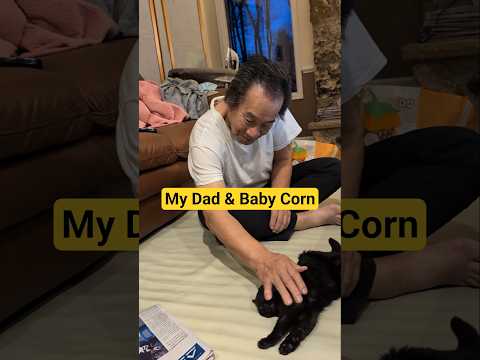 They love each other. #babycorncat #catdadha #cat #cerebellarhypoplasia #wobblycat #dwarfcat