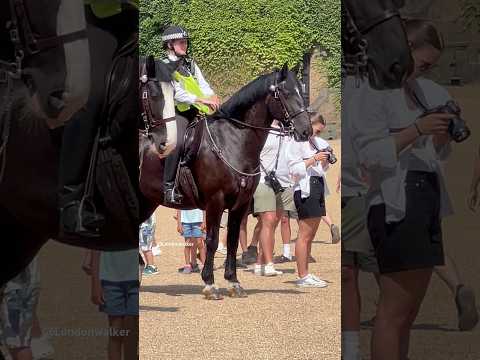 Mounted a police and lovely Horses at Horse Guards Parade. #shorts