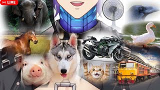 【🔴Talk】ไม่มีเสียงไหนที่ผมทำไม่ได้ [ Ark_ARP #ARProject ]