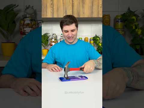 Cat Swapped Chocolate for an iPhone 😱📱💥