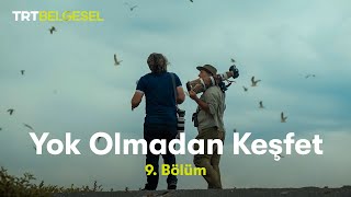 Yok Olmadan Keşfet | Van Gölü Havzası | TRT Belgesel