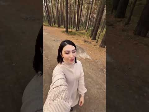 1 ноября 2025 г.