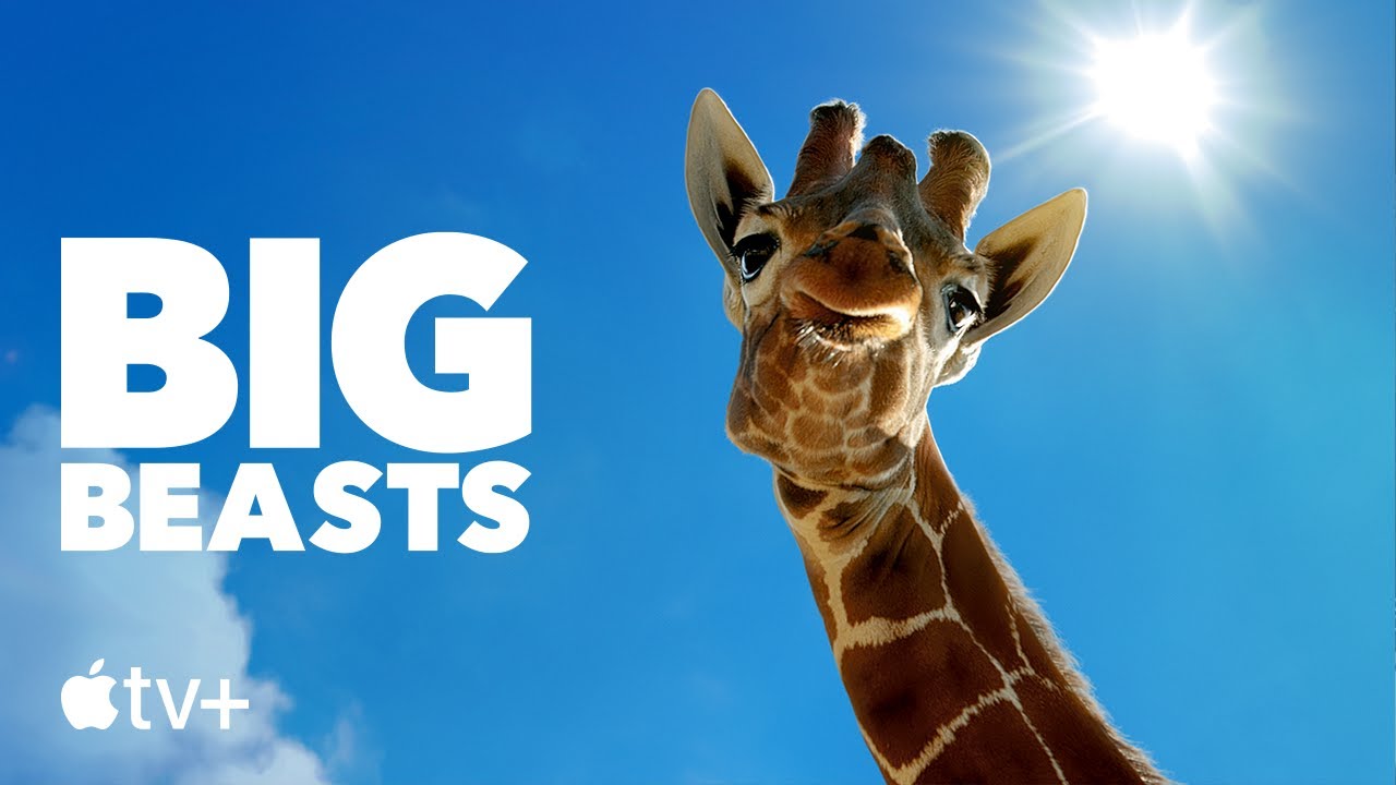 Big Beasts Trailer miniatyrbilde