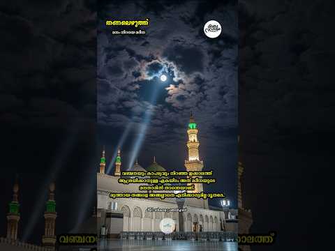 തണലെഴുത്ത് - 241 മനം നിറയെ മദീനാ | #muthnabiﷺ #mrs_rak #madina #foryou #തണലെഴുത്ത് #madhsong