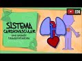 Understanding the Cardiovascular System