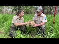 Kogan Grass Identification and Management