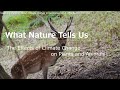 Climate Change and Environmental Impact