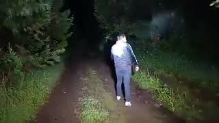El bosque de la bruja encantado 