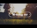 Genetics: Phenotypes and Genotypes